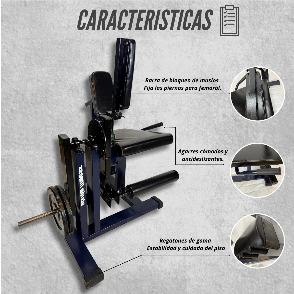 Sillón Dual ( Cuádriceps y Femoral) - Vista 6